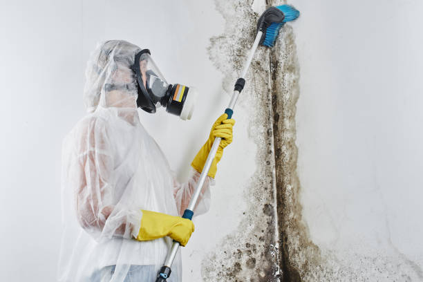 Crawl Space Mold Removal in Stonecrest, GA