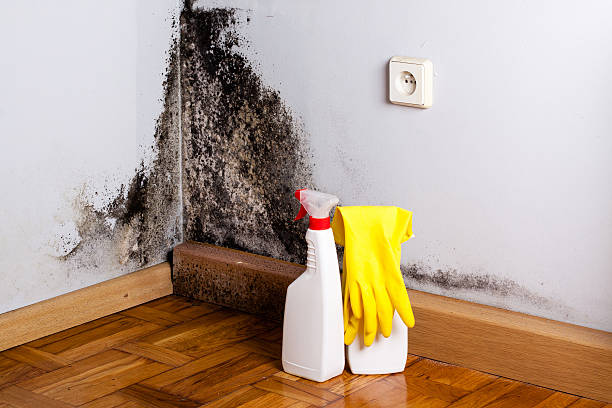 Best Residential Mold Removal  in Stonecrest, GA